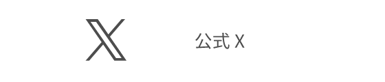 公式X